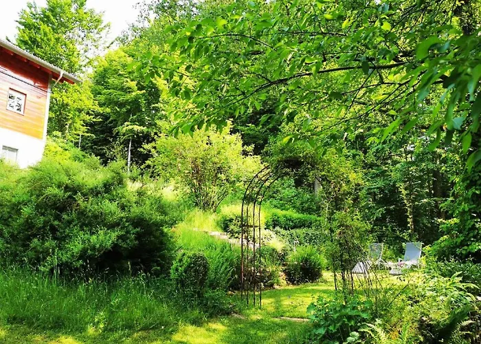 Apartamento Am Woid - Herrliche Alleinlage - Vegane Einrichtung Waldkirchen