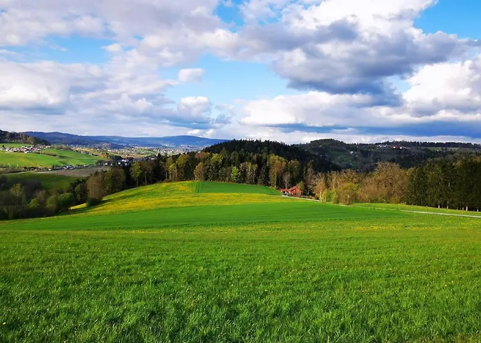 Am Woid - Herrliche Alleinlage - Vegane Einrichtung Apartamento Waldkirchen
