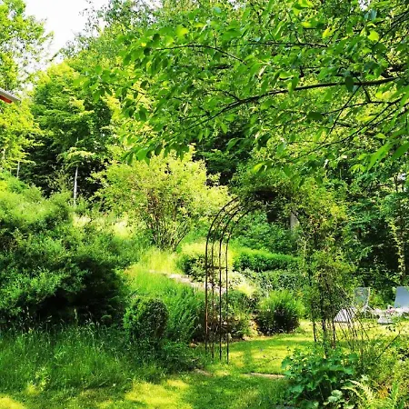 Apartment Am Woid - Herrliche Alleinlage - Vegane Einrichtung Waldkirchen