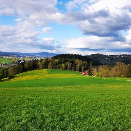 Am Woid - Herrliche Alleinlage - Vegane Einrichtung Lejlighed Waldkirchen